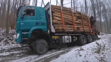 Грузовики на бездорожье – мастерство водителей решает