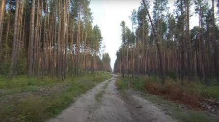 Как в России развивалось дорожное сообщение Как в России развивалось дорожное сообщение