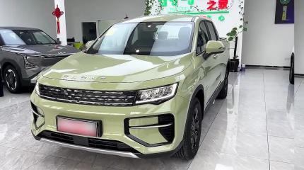 Riddara (Radar) RD6 – чем интересен первый «зеленый» пикап Geely Riddara (Radar) RD6 – чем интересен первый «зеленый» пикап Geely