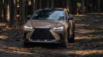 Lexus NX получил версию Overtrail с увеличенным дорожным просветом