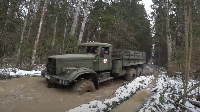 КрАЗ-255 покоряет лесное бездорожье – этот грузовик может ползти на «брюхе»