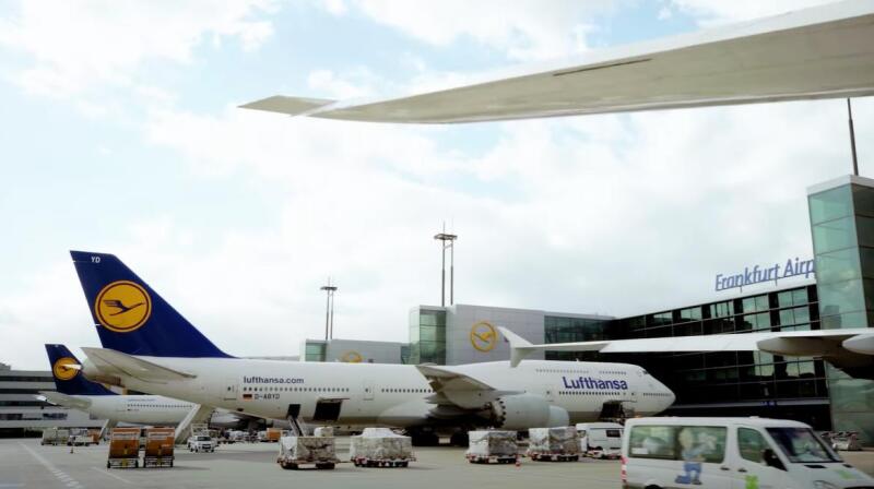 «Акулья» пленка поможет Lufthansa и Swiss Airlines экономить по 400 тонн топлива в год