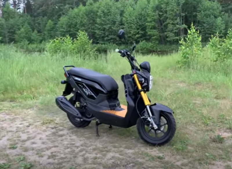 Honda Ps 250 Big Ruckus Купить