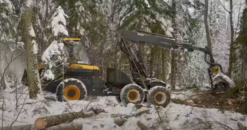 Harvester Ponsse Ergo W6 - ta „leśna” maszyna zastępuje ekipę pracowników piłami łańcuchowymi