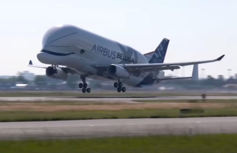 Airbus Beluga XL – a three-story “dolphin” in the air